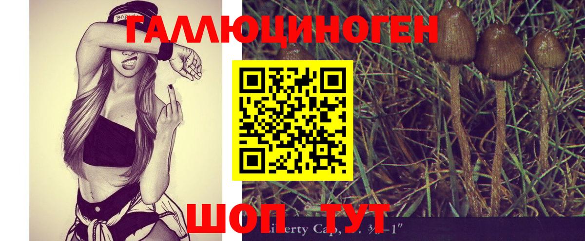 Псилоцибиновые грибы ЛСД Красноярск