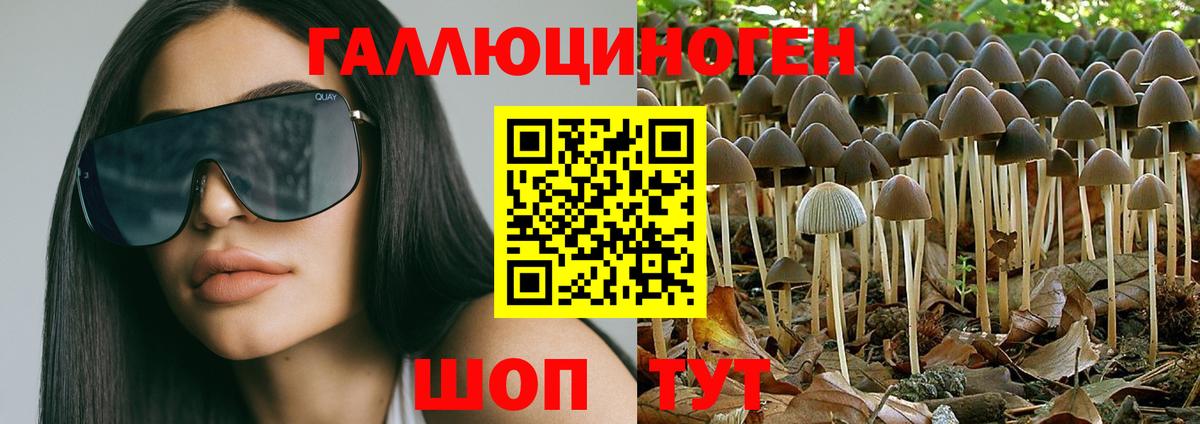 Галлюциногенные грибы ЛСД  Вход с VPN  Красноярск  Псилоцибиновые грибы GOLDEN TEACHER 